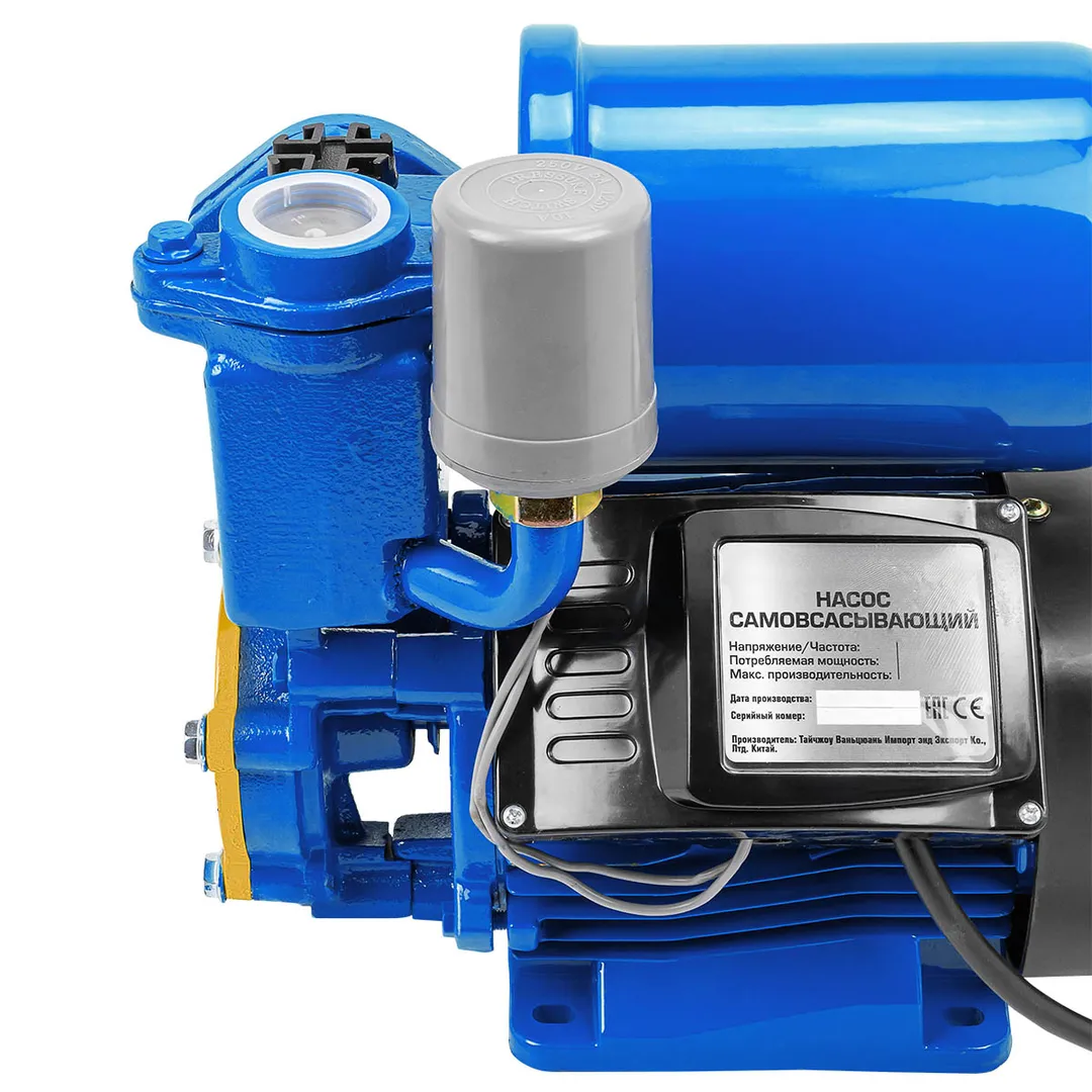 Насос самовсасывающий, 230В, 50Гц, 250Вт, 30л/мин, обмотка CU Forsage F-PS170 COPPER