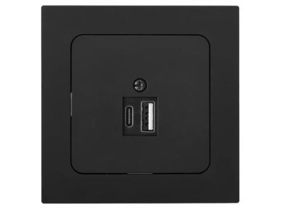 Розетка с двумя USB-разъемами, скрытая карбон, Astrum Bylectrica РП5-5561карб