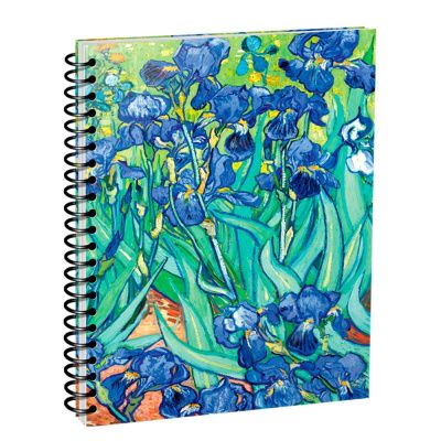 Скетчбук "Ван Гог. Ирисы", А5, 100 листов, разноцветный