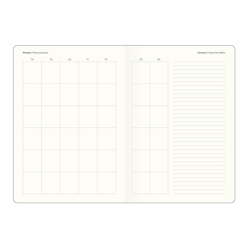 Ежедневник недатированный "Diary", А5, 320 страниц, айвори