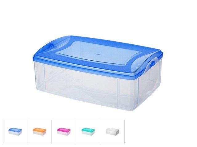 Контейнер пласт. прямоуг. 2.2 л, с крышкой, Frigo, цвета в ассортименте DRINA 10173