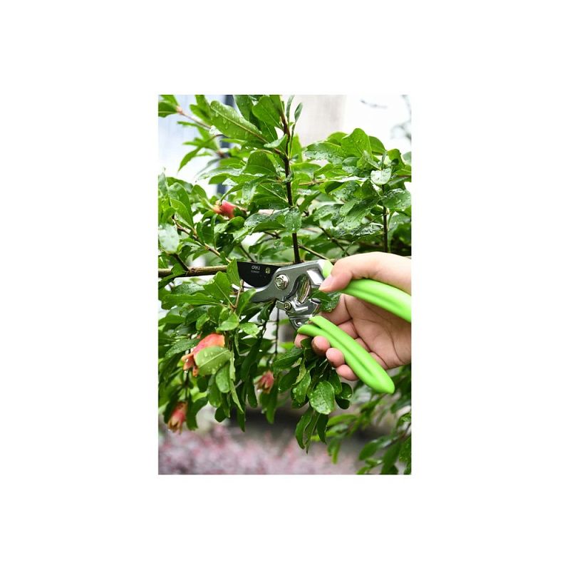 Секатор садовый цельнокованный Deli GS EDL580207, пружина, тефлон, 215 мм., черный, зеленый