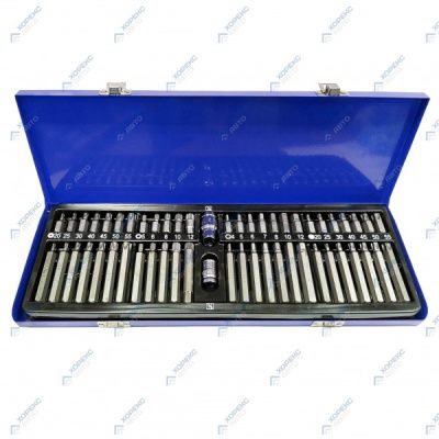 Набор бит Hex, Ribe, Torx, Torx TR 54 пр. 10 мм. HOREX HZ 28.1.076J