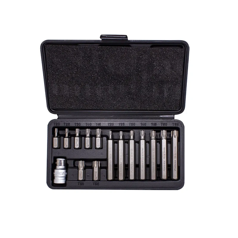 Набор бит Torx Т20-Т55 с битодержателем 15 пр. 30/75 мм 10 мм Forsage F-4156C