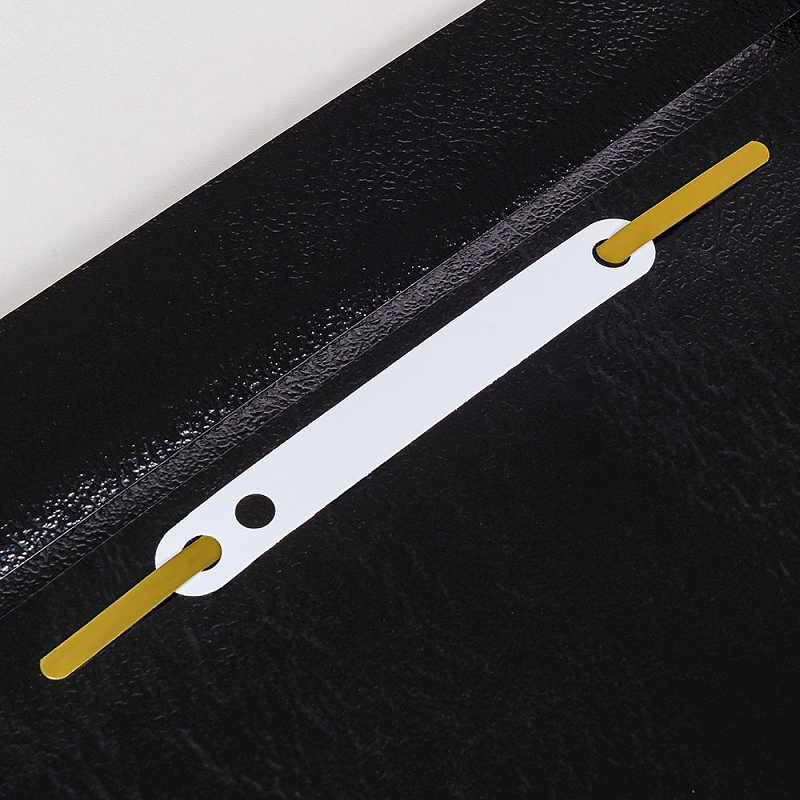 Папка-скоросшиватель "Inter-folia", А4, черный