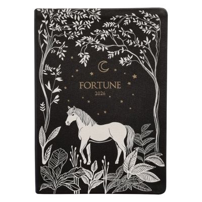 Ежедневник датированный "Fortune" на 2026 год, А5, черный