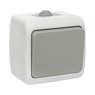 Мурманск Выключатель 1 -клавишный 10А IP54 серый EKF EFV10-021-30-54