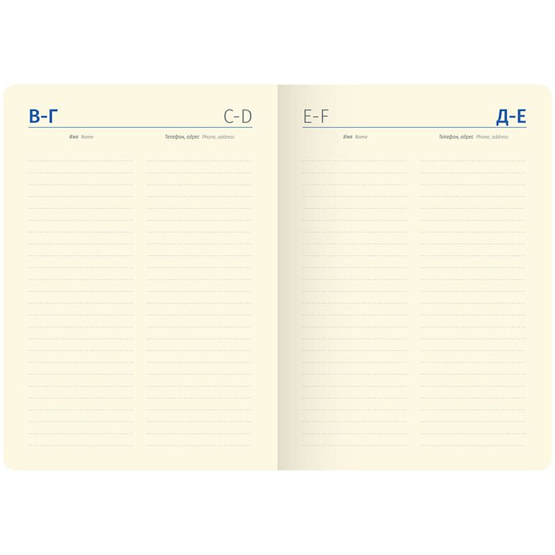 Ежедневник недатированный "Silver Pristine", А6, 320 страниц, синий