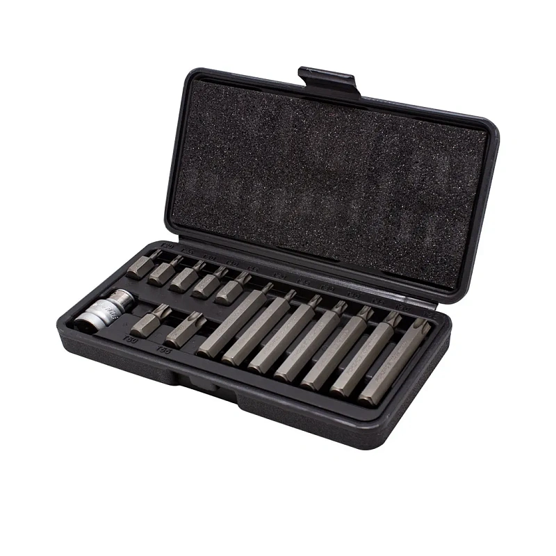 Набор бит Torx Т20-Т55 с битодержателем 15 пр. 30/75 мм 10 мм Forsage F-4156C