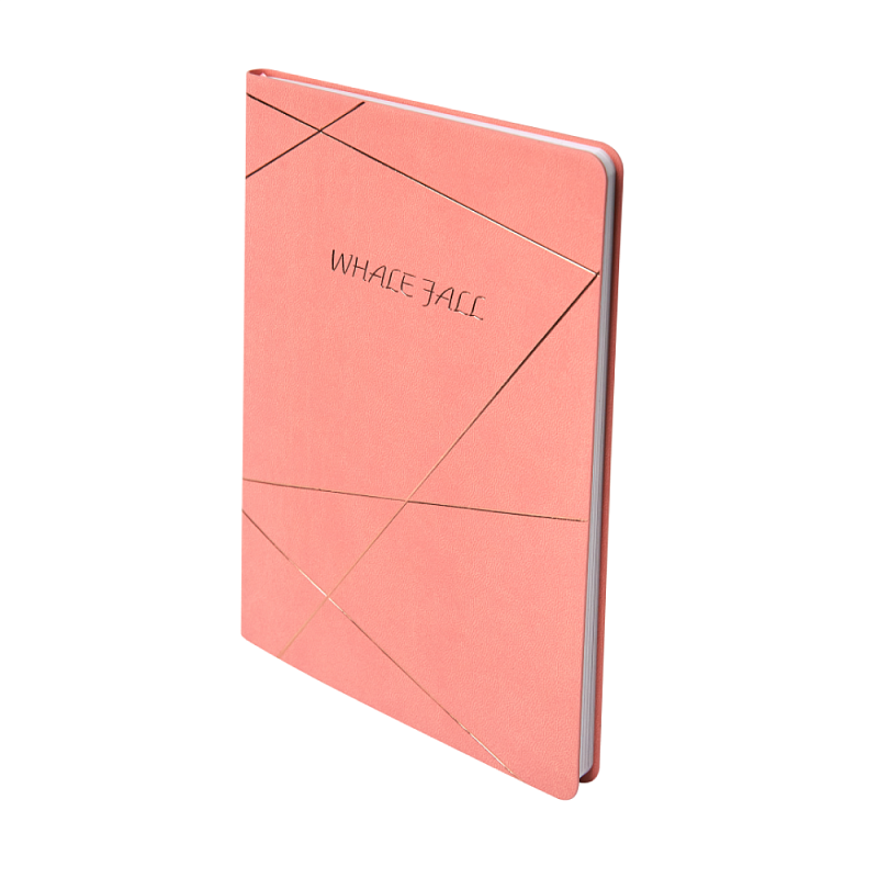 Блокнот "20D076", А5, 96 листов, розовый