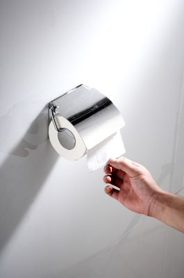 Бумагодержатель, сталь, хром Ledeme L504
