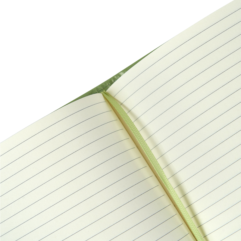 Блокнот "3223-10", А5, 80 листов, линейка, зеленый