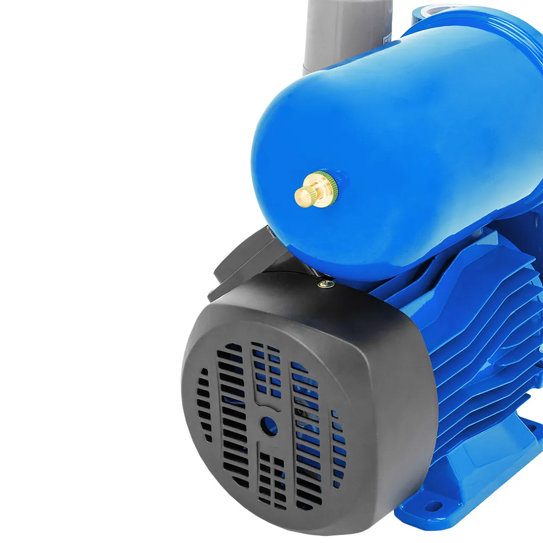 Насос самовсасывающий, 230В, 50Гц, 250Вт, 30л/мин, обмотка CU Forsage F-PS170 COPPER