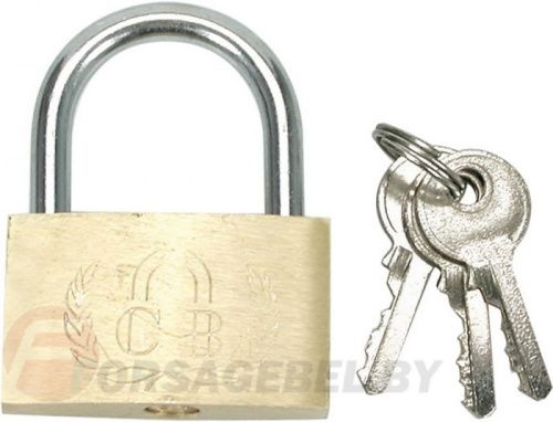 Замок навесной латунный 50 мм Vorel 77500