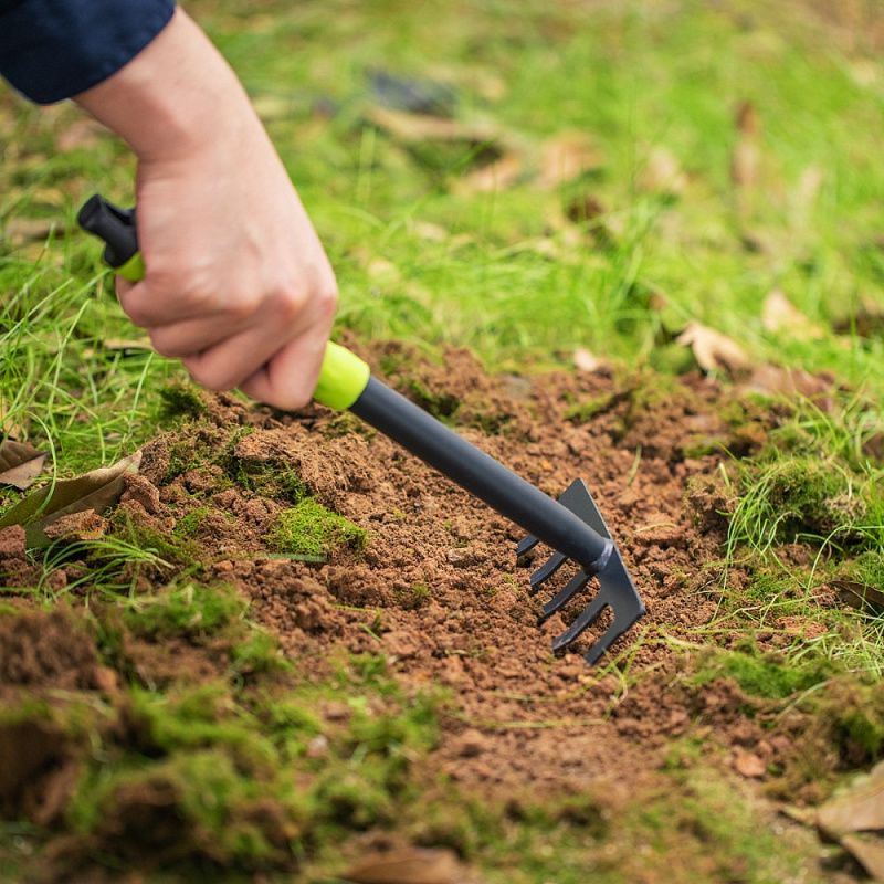 Набор садовых инструментов Deli GS EDL580803, 310 мм, 3 шт., лопата, мотыга, грабли, зеленый, черный