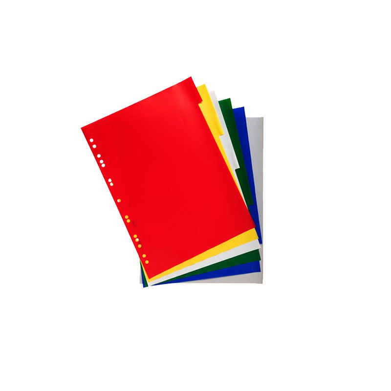 Разделитель "Exacompta economy", A4, 6 делений, ассорти