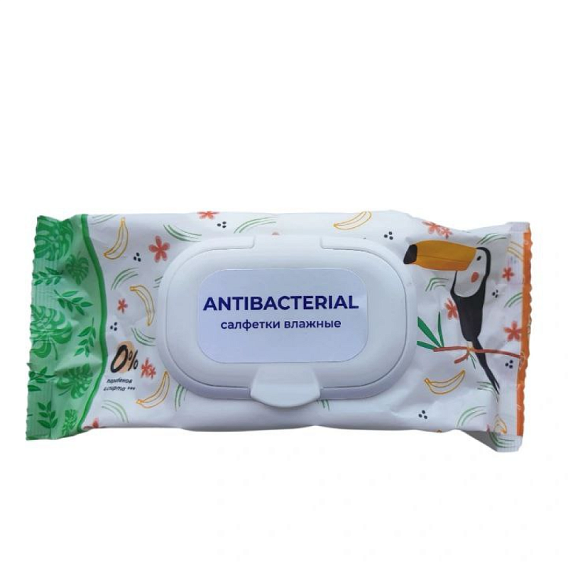 Салфетки влажные гигиенические антибактериальные с клапаном, с растительными экстрактами, 120 шт