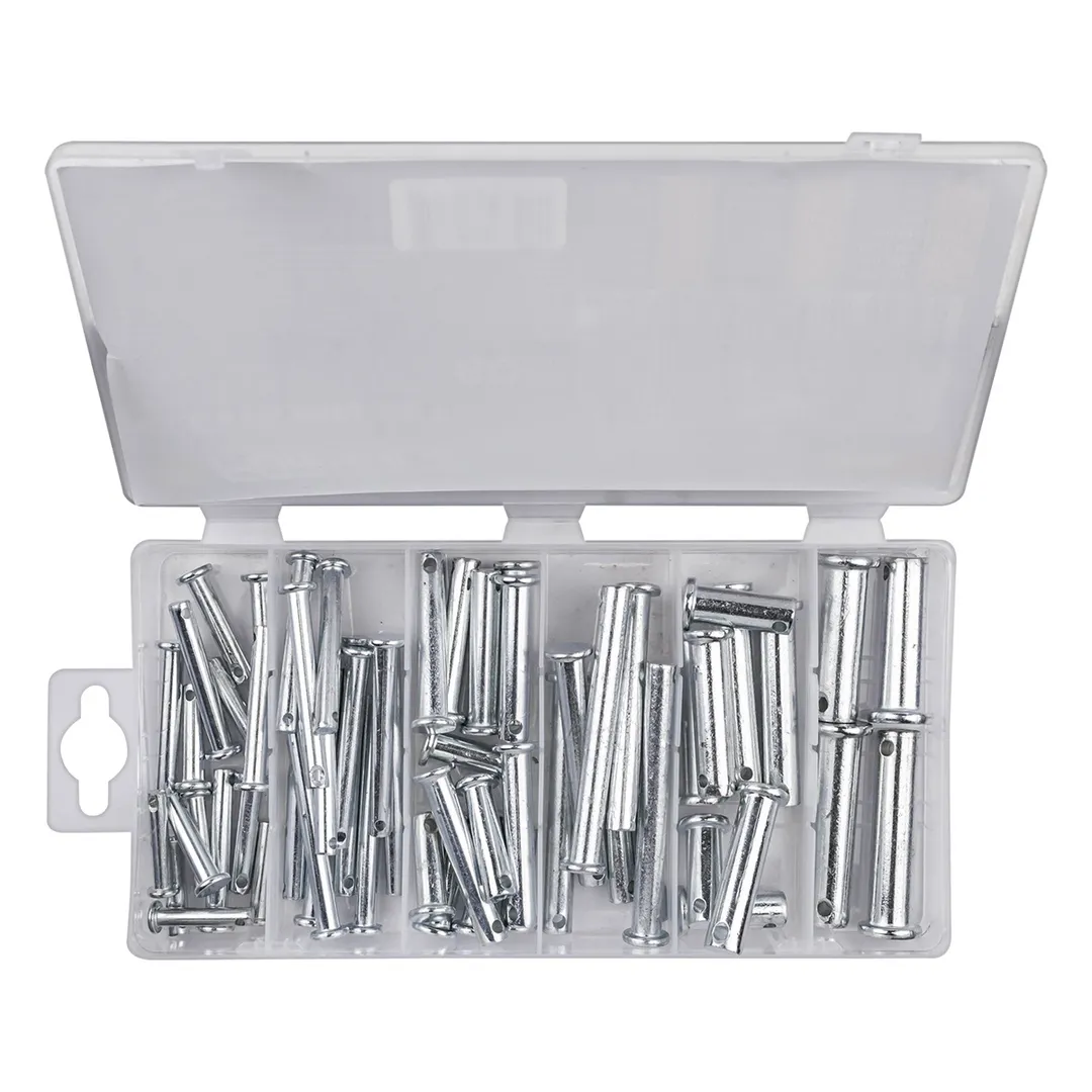 Набор штифтов с отверстием 60 шт Forsage F-06786