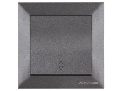 Выключатель проходной 1-клав., скрытый винт. зажим, дымчатый, DARIA Mutlusan 2120 403 0295