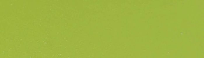 Кромка ПВХ зеленый лимон (7245) 22/0,6мм (бух.-0,2пог.км.) EL-MECH-PLAST 112450