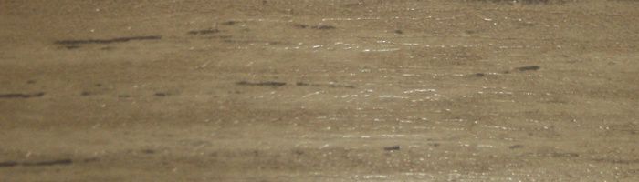 Кромка ПВХ дуб крафт золотой (7313) 22/1,8мм (бух.-0,1пог.км.) EL-MECH-PLAST 101490