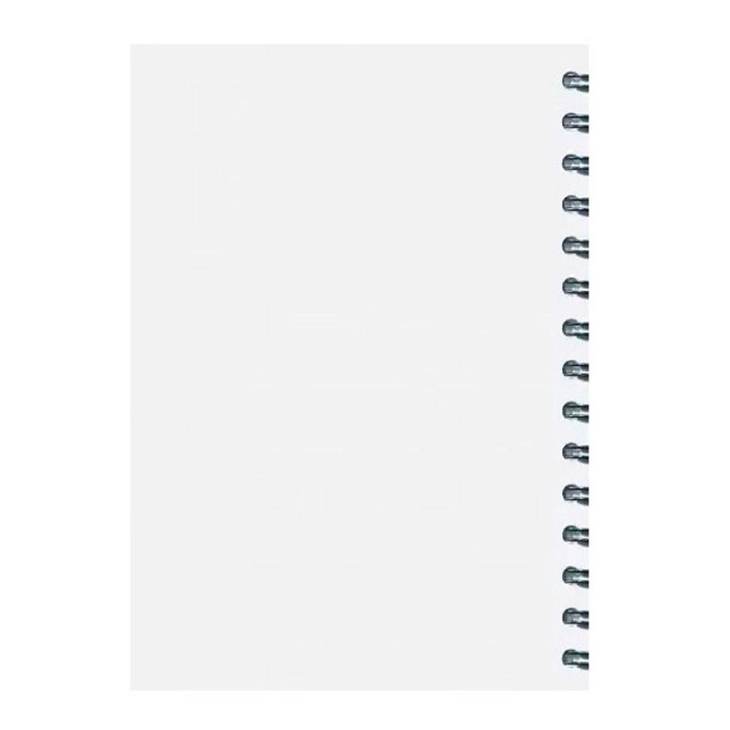 Скетчбук "Ван Гог. Ирисы", А5, 100 листов, разноцветный