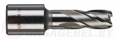 Кольцевая фреза 12х30 мм Milwaukee 4932371740