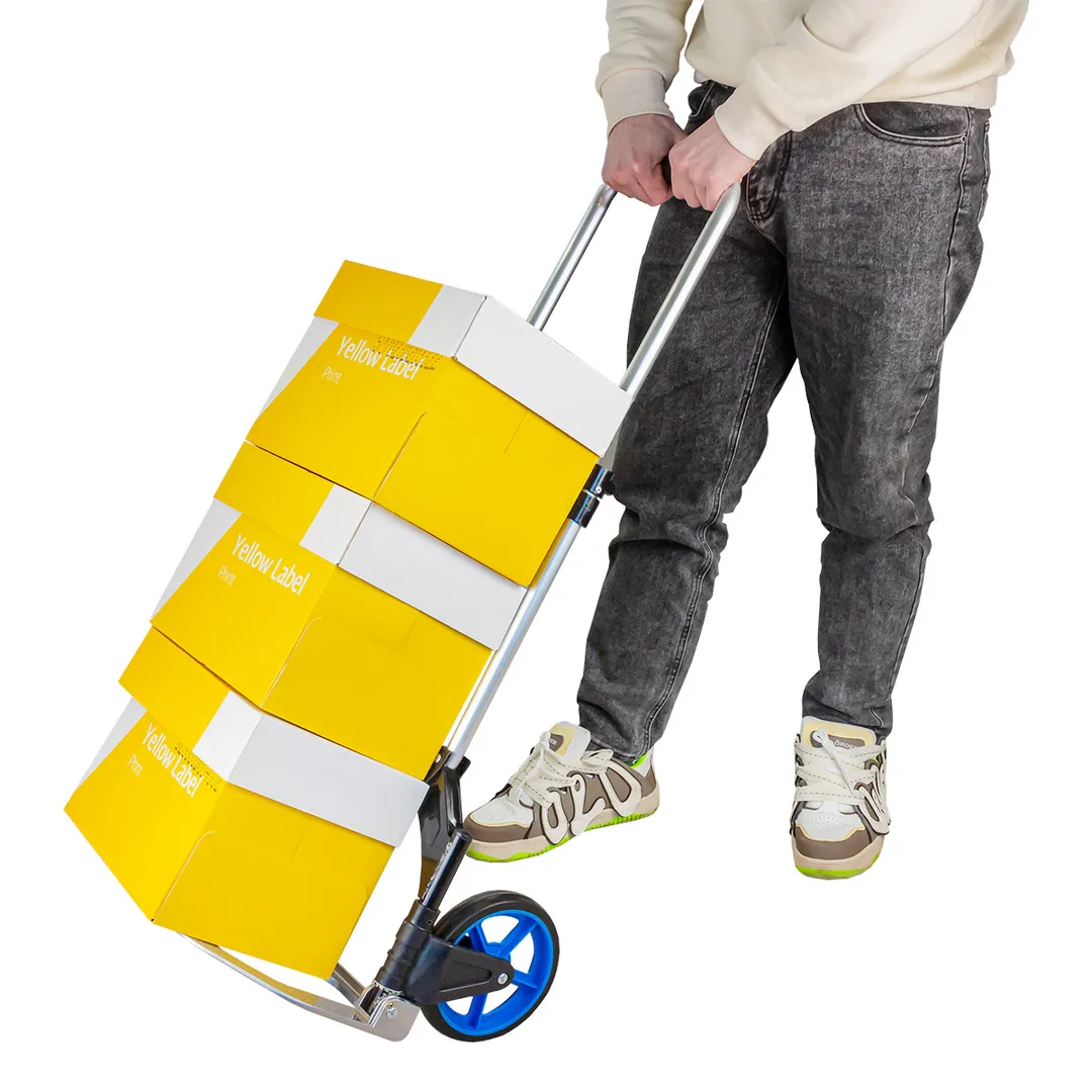 Тележка ручная складная с телескопической ручкой г/п 70 кг Forsage F-GZS70A