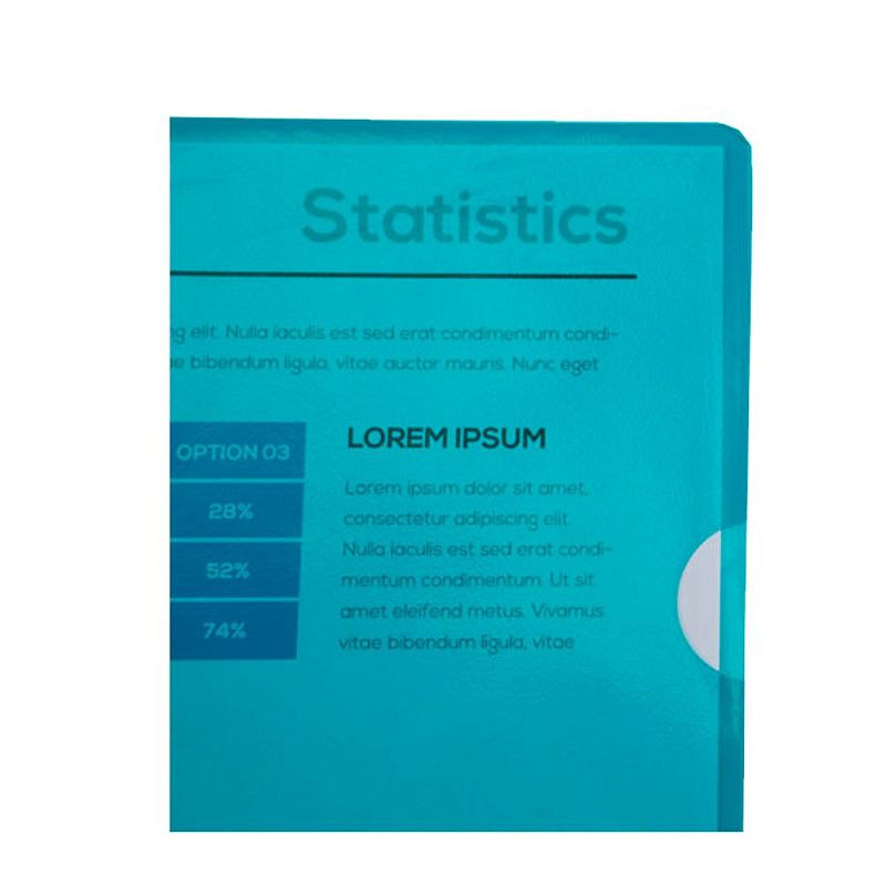 Папка-уголок "Exacompta", А4, 130 мк, ПВХ, прозрачный, зеленый