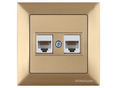 Розетка компьютерная 2xRJ45, Cat5e, скрытая, золото, DARIA, , 2xRJ 45, 8-pin, соединения типа 568A или 568B, Mutlusan 21201380180